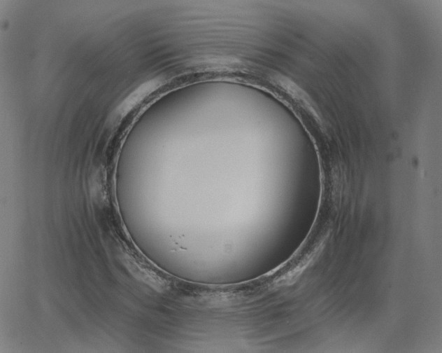 X0000063460970200601201241