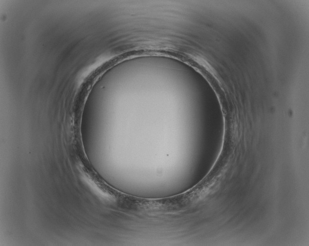 X0000063460971200601201241