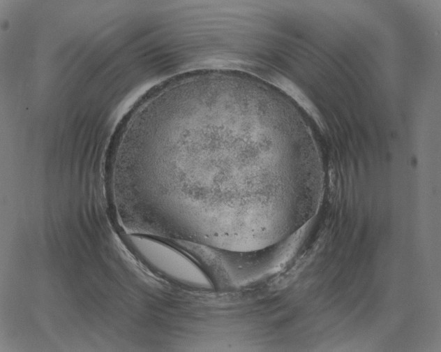 X0000063460972200601201241