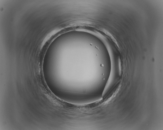 X0000063460973200601201241