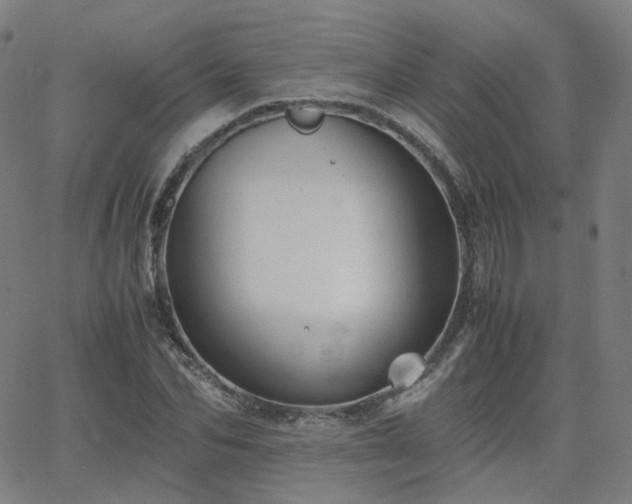 X0000063460974200601201241