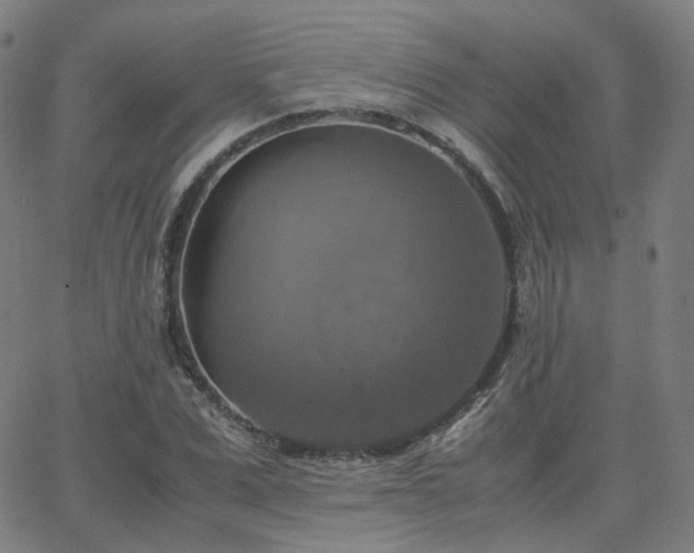 X0000063460975200601201241