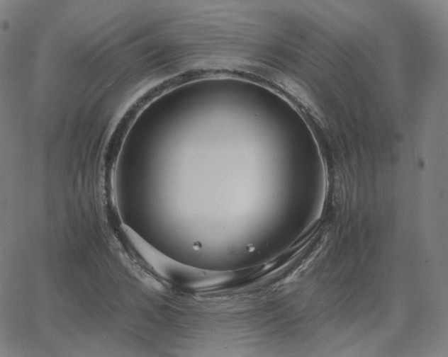 X0000063460976200601201241