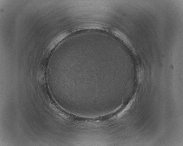 X0000063460977200601201241