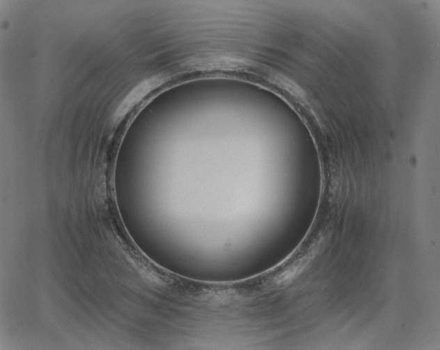 X0000063460978200601201241