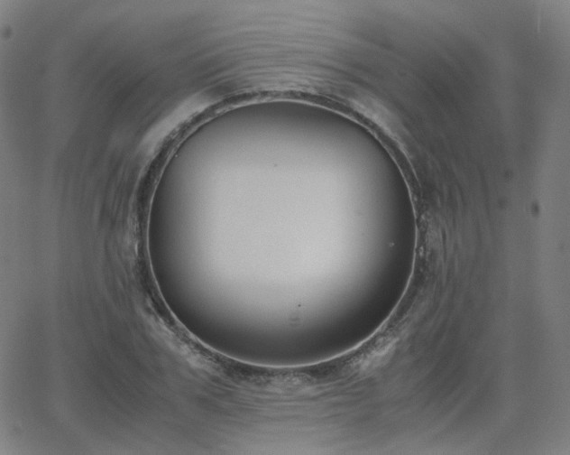 X0000063460979200601201241