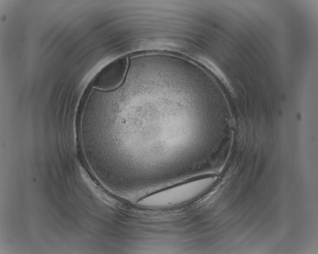 X0000063460980200601201241