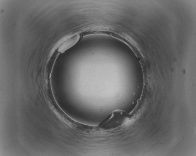 X0000063460981200601201241