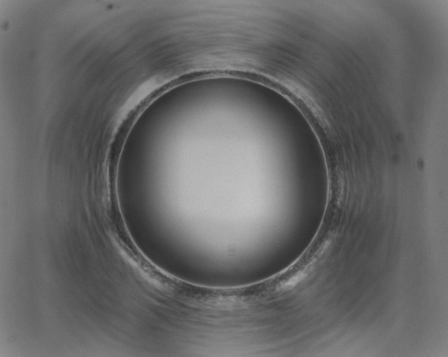 X0000063460982200601201241