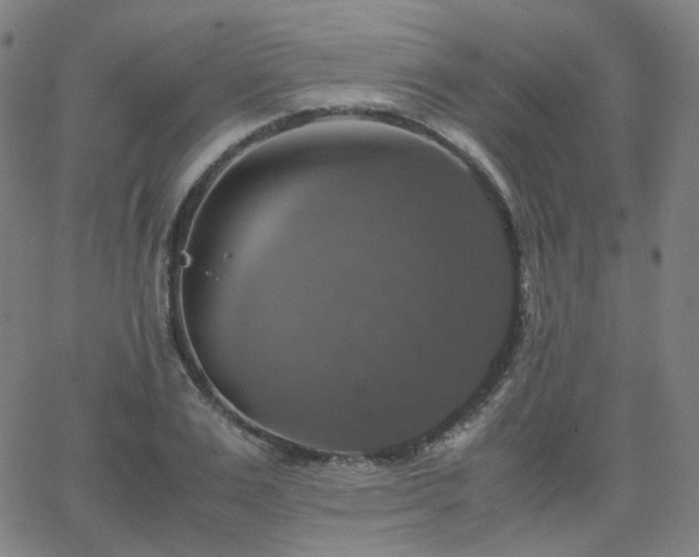 X0000063460983200601201241