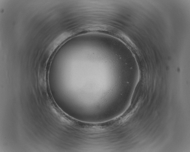 X0000063460986200601201241