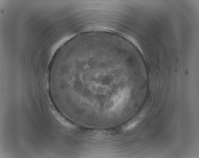 X0000063460987200601201241