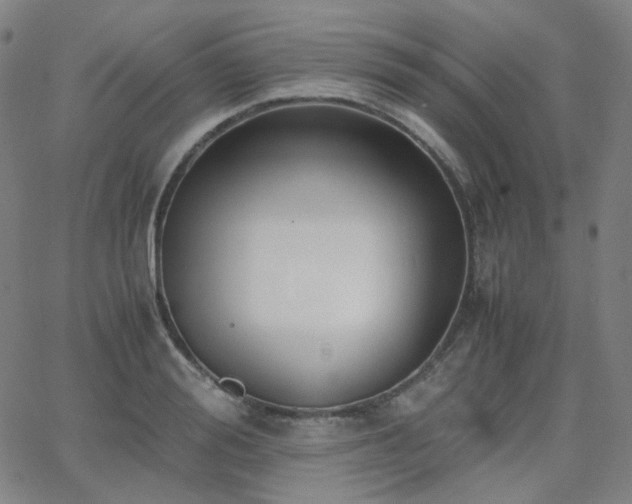 X0000063460988200601201241