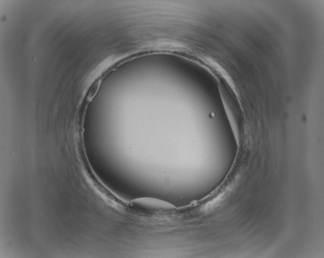 X0000063460989200601201241