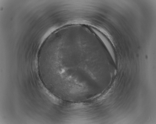 X0000063460990200601201241