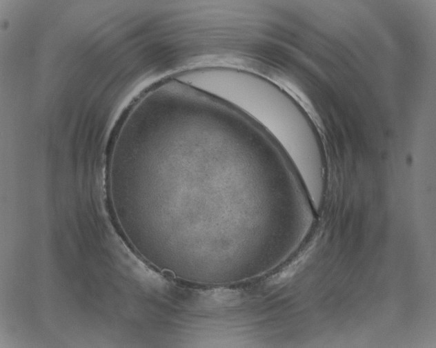 X0000063460992200601201241