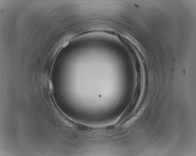 X0000063460993200601201241