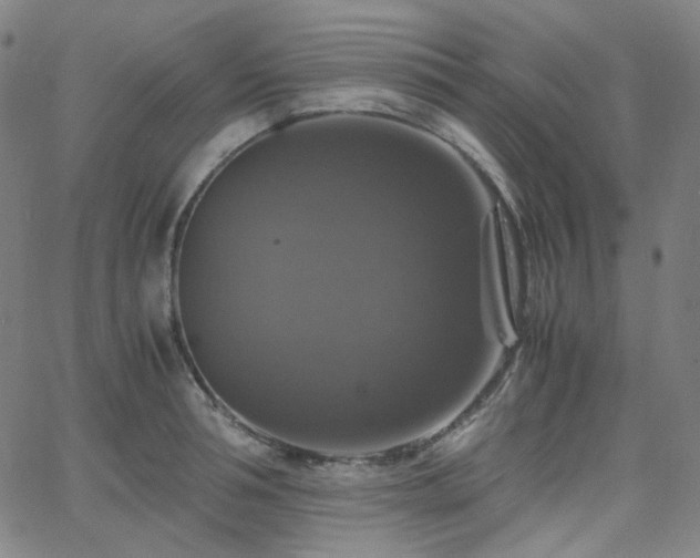 X0000063460994200601201241