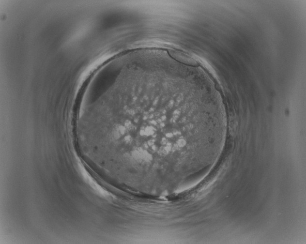 X0000063460995200601201241