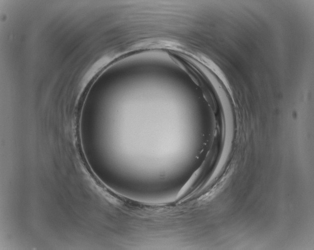 X0000063460997200601201241