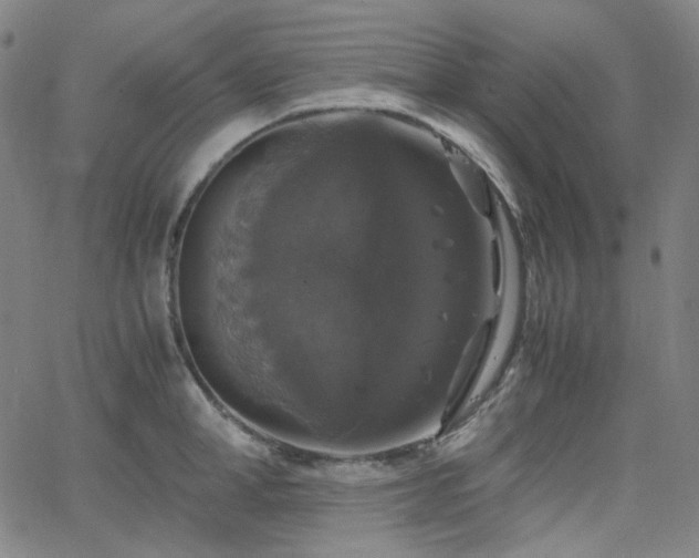 X0000063460998200601201241