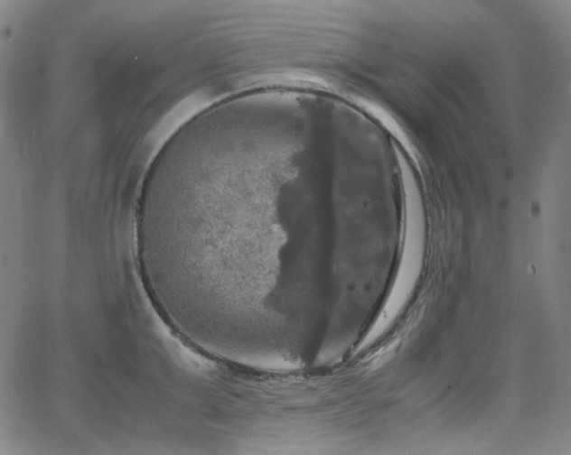 X0000063460999200601201241