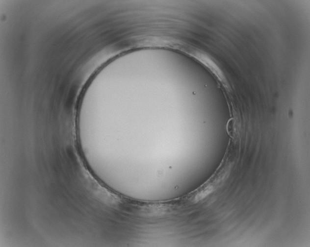 X0000063461000200601201241