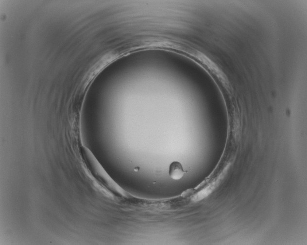 X0000063461001200601201241