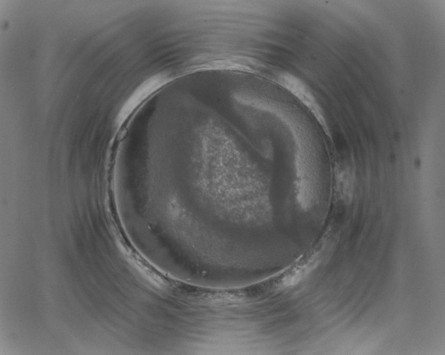 X0000063461002200601201241