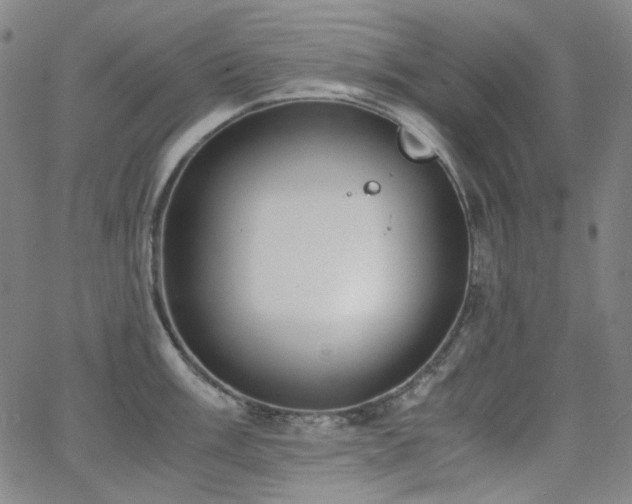 X0000063461003200601201241