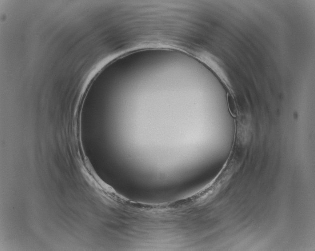 X0000063461004200601201241