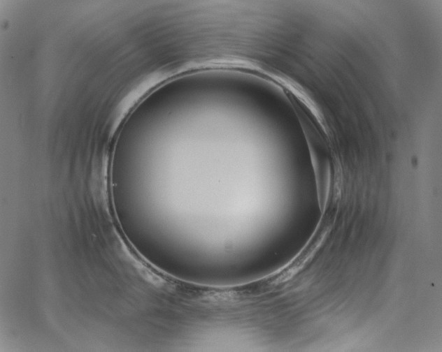 X0000063461006200601201241