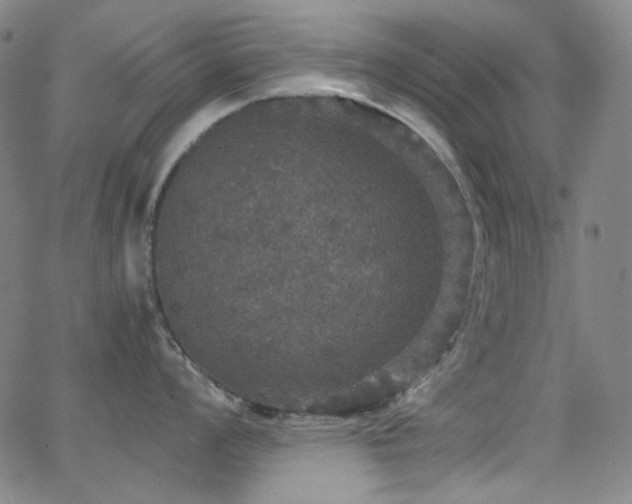 X0000063461008200601201241