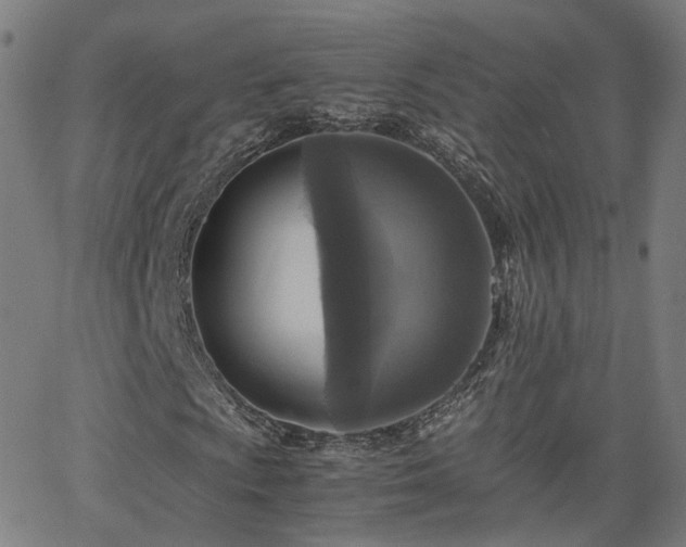 X0000063461009200601201240