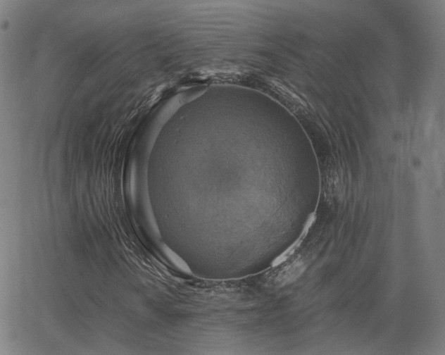 X0000063461010200601201240