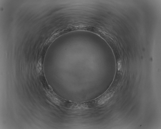 X0000063461011200601201240