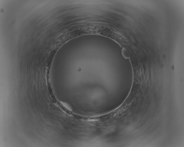 X0000063461013200601201240