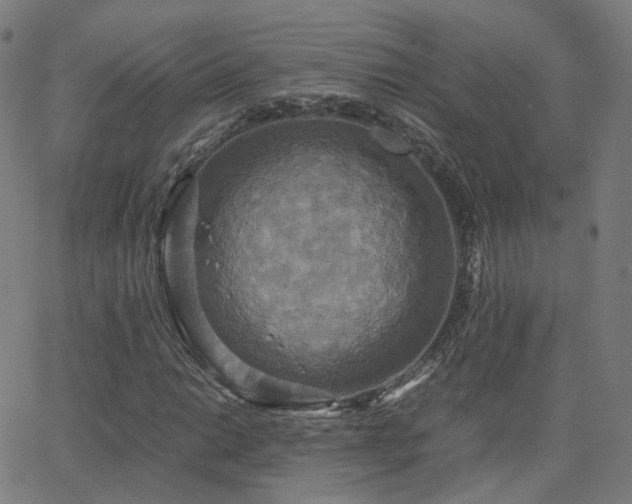 X0000063461014200601201240