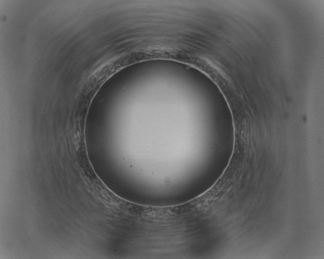 X0000063461015200601201240