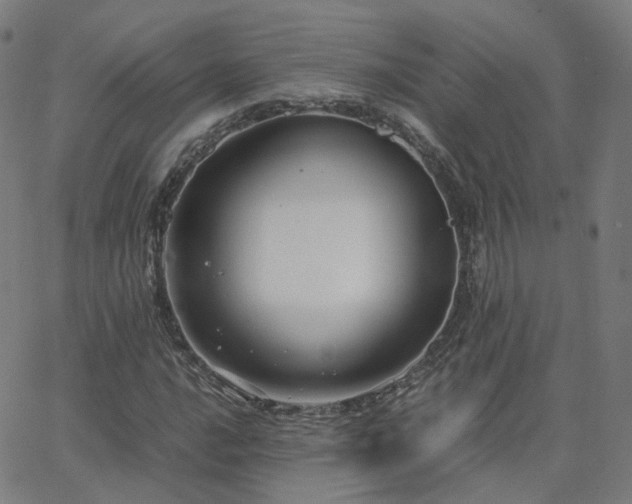 X0000063461016200601201240