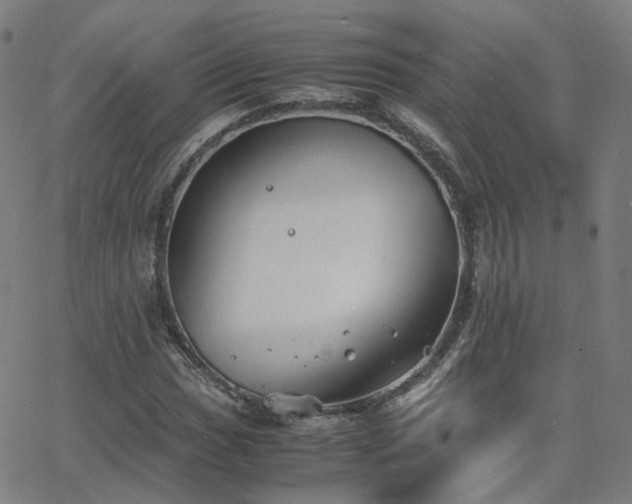 X0000063461017200601201240