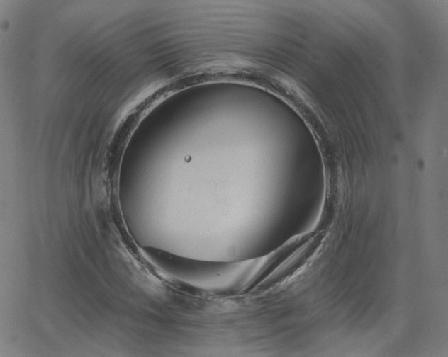 X0000063461018200601201240