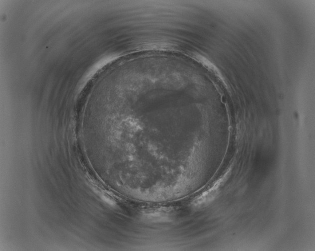 X0000063461019200601201240