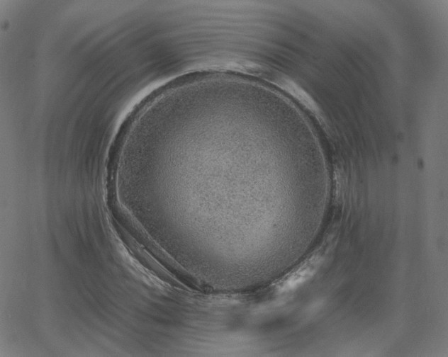 X0000063461020200601201240