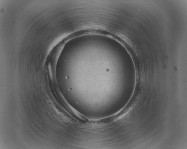 X0000063461022200601201240