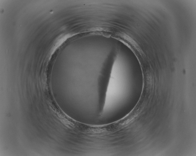 X0000063461023200601201240