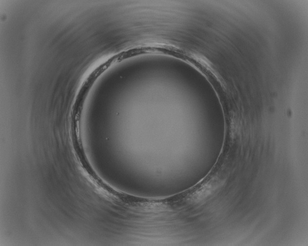 X0000063461024200601201240