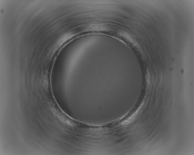 X0000063461025200601201240