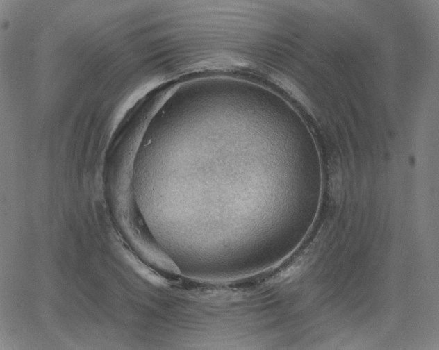 X0000063461026200601201240