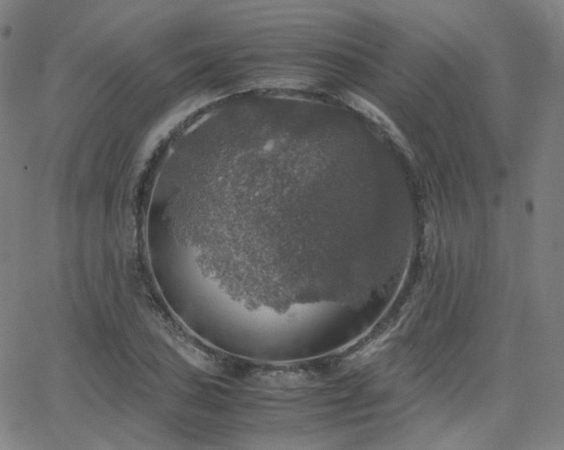 X0000063461027200601201240